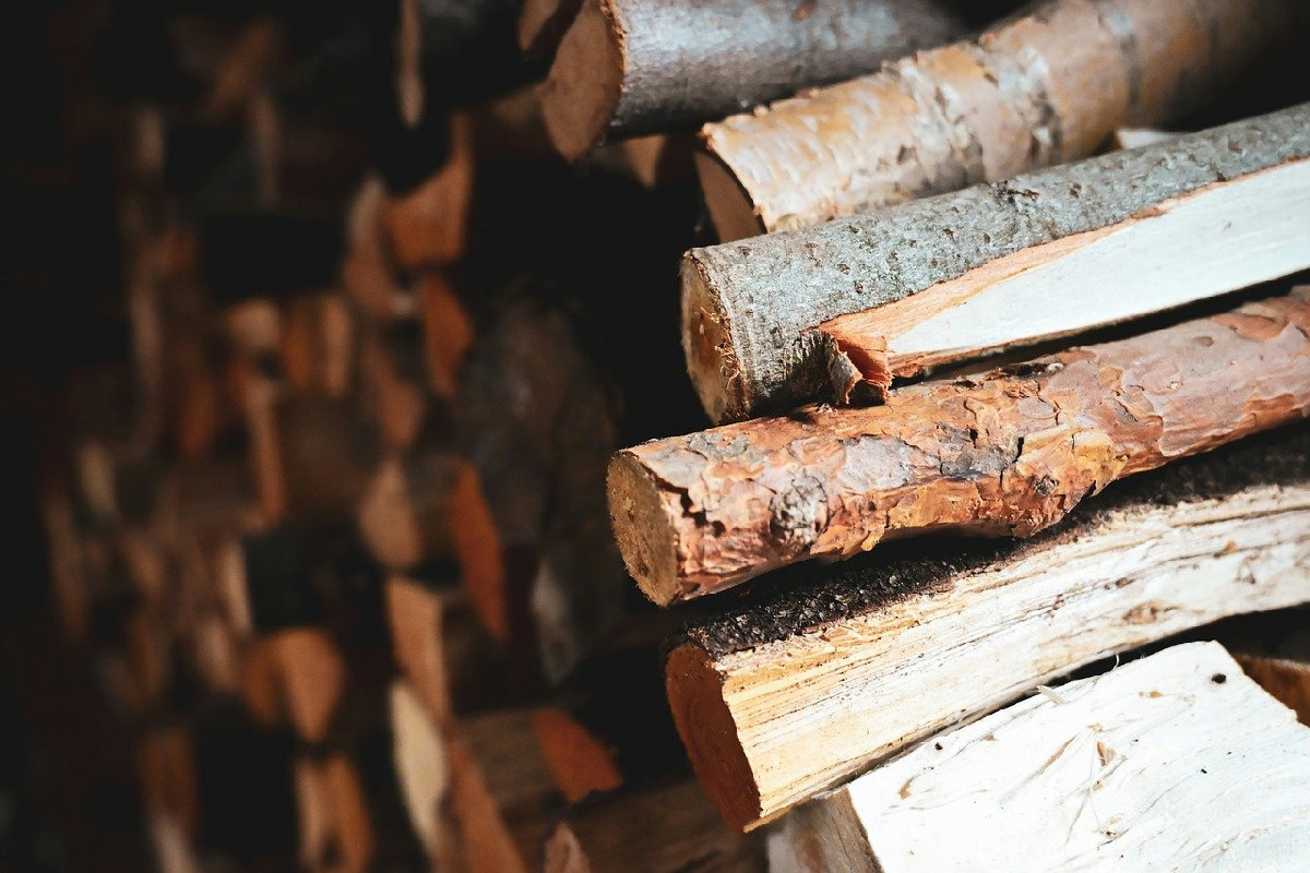 Ecco come scegliere la legna giusta per il camino e riscaldare casa senza spendere troppo quest’inverno